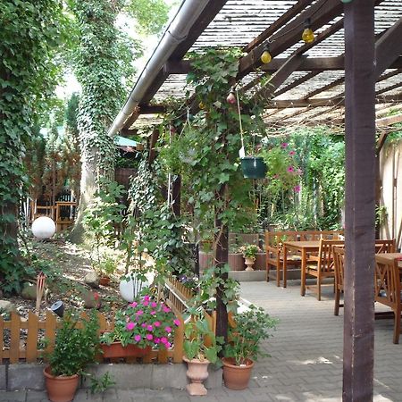 Gasthof & Pension Hause Halle  Zewnętrze zdjęcie